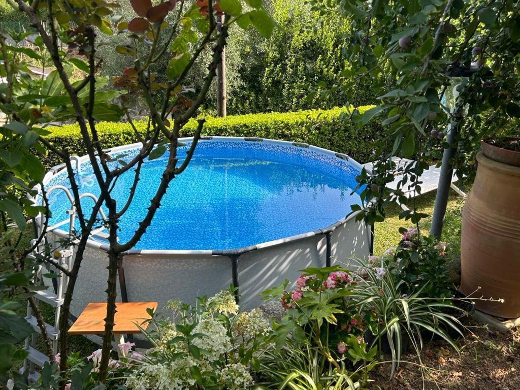 Casa Anna A Pietrasanta In Toscana Con Piscina Eksteriør bilde
